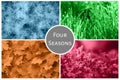 Four seasons nature collage: Winter, Spring, Summer, Autumn. Blue snow, green grass, red flowers and orange leaves Royalty Free Stock Photo