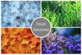 Four seasons nature collage: Winter, Spring, Summer, Autumn Royalty Free Stock Photo