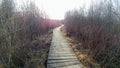 Four Seasons Nature Preserve - Lake Geneva, WI Royalty Free Stock Photo