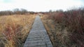 Four Seasons Nature Preserve - Lake Geneva, WI Royalty Free Stock Photo