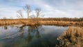 Four Seasons Nature Preserve - Lake Geneva, WI Royalty Free Stock Photo