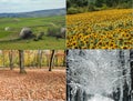 The four seasons in one image. Collage with spring, summer, autumn, winter. Wallpaper with spring, summer, autumn, winter