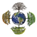 Four Seasons of Planet Earth Royalty Free Stock Photo