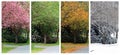 Four seasons on the same street. Royalty Free Stock Photo