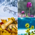 Four seasons. Set of square photos of nature in frames with winter, spring, summer and autumn moments. Copy space, place for