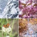 Four seasons. Set of square photos of nature in frames with winter, spring, summer and autumn moments. Copy space, place for