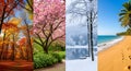 Four Seasons Side-by-Side â Autumn, Spring, Winter, and Summer Landscape Comparison Royalty Free Stock Photo