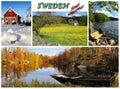 Four seasons in Sweden - collage concept Royalty Free Stock Photo