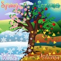 Four seasons tree banner, vector Royalty Free Stock Photo