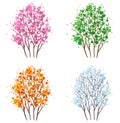 Four seasons tree Royalty Free Stock Photo
