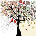 Four seasons tree with birds and butterfly Royalty Free Stock Photo