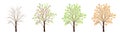 Four seasons of tree vector Royalty Free Stock Photo