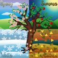 Four seasons tree, vector Royalty Free Stock Photo