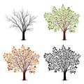 Four seasons of tree. Vector illustration Royalty Free Stock Photo