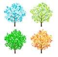 Four seasons tree Royalty Free Stock Photo