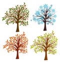 Four seasons trees, Royalty Free Stock Photo