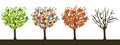 Four seasons trees banner. Vector illustration. Royalty Free Stock Photo