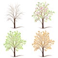 Four seasons trees vector Royalty Free Stock Photo