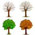 Four seasons trees vector Royalty Free Stock Photo