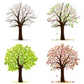 Four seasons trees vector Royalty Free Stock Photo