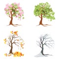 Four seasons trees. Royalty Free Stock Photo