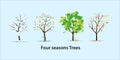 Four seasons trees: winter,spring, summer, autumn. Vector illustration Royalty Free Stock Photo