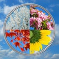 Four seasons of the year on sky background