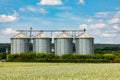 four silos in rural area at the field in spring time Royalty Free Stock Photo