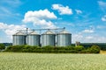 four silos in rural area at the field in spring time Royalty Free Stock Photo