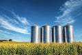 Four silver grain silos standing in cornfield under blue sky Royalty Free Stock Photo