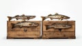 Four Skinny Fish Carrying Wooden Box - Detailed 8k Octane Render Royalty Free Stock Photo