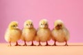 Four small chicks standing in a row, generative ai
