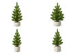Four small potted evergreen trees, each with yellow lights, displayed in different white and grey pots, adding a charming touch to Royalty Free Stock Photo