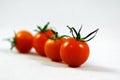 Four small red ripe tomatoes in a row Royalty Free Stock Photo