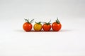 Four small red ripe cherry tomatoes in a row Royalty Free Stock Photo