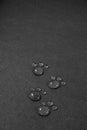 Four small water footprints