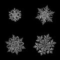 Four snowflakes isolated on black background