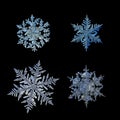 Four snowflakes isolated on black background