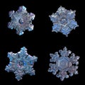 Four snowflakes isolated on black background