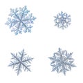 Four snowflakes isolated on white background