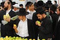 Four Species Market for Jewish Holiday of Sukkot