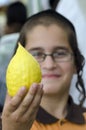 Four Species Market for Jewish Holiday of Sukkot