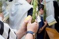 The four species for Sukkot