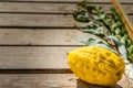 Four species, symbols of Jewish holiday Sukkot