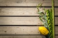 Four species, symbols of Jewish holiday Sukkot