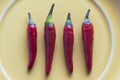 Four spicy red chillies on a yellow ceramic plate Royalty Free Stock Photo