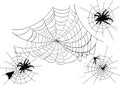 Four spider webs