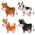 Four spotted cartoon cows, vector animals