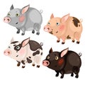 Four spotted cartoon pigs different colors