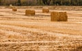 Four square hay bales on empty yellow field Royalty Free Stock Photo